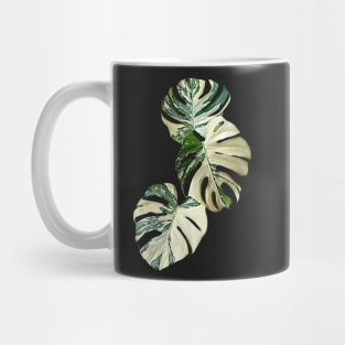 MONSTERA THAI CONSTELLATION MUTATION Mug